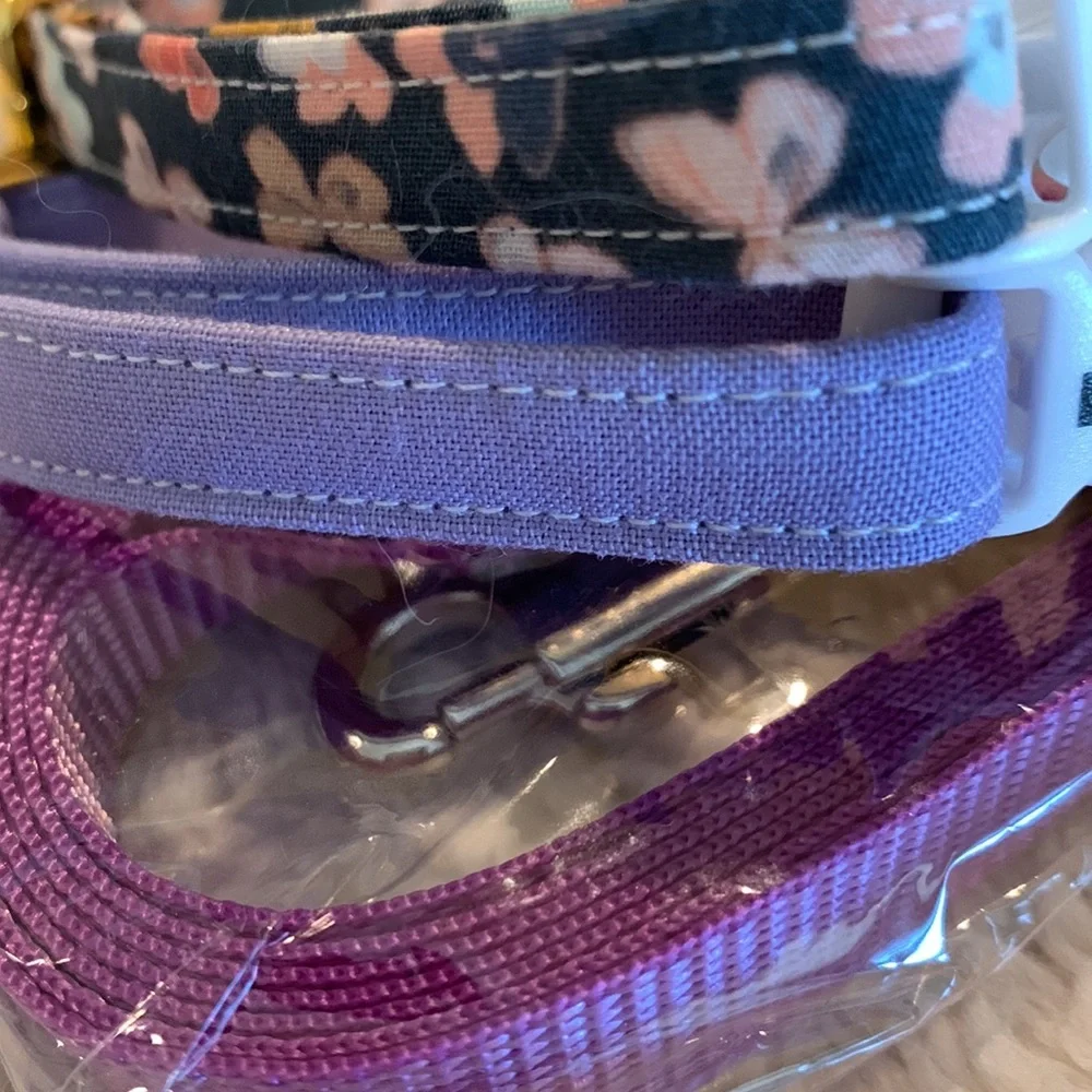 Dog cat collar and leash